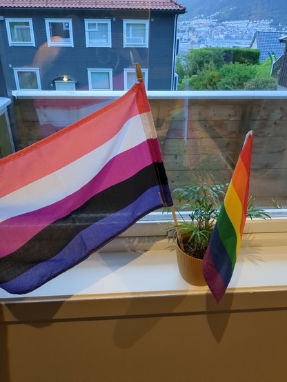 The image shows a couple of colorful flags, including a pride flag and a gender-fluid flag, placed near a window.

There is also a plant in a pot next to the flags, and a view of a building with windows and some greenery outside can be seen through the window.