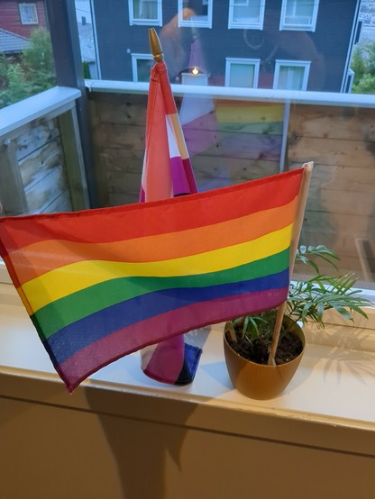 The image shows a couple of colorful flags, including a pride flag and a gender-fluid flag, placed near a window.

There is also a plant in a pot next to the flags, and a view of a building with windows and some greenery outside can be seen through the window.