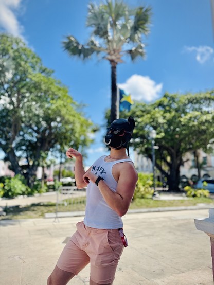 A person strikes a playful, energetic pose outdoors beneath a vivid blue Bahamian sky. They wear a black neoprene puppy hood with upright ears and mirrored sunglasses, giving a bold, pup-inspired flair. Their white tank top, emblazoned with "NAVY" and visibly sweat-stained, clings to their torso and is semi-transparent in the sunlight, subtly revealing their physique. Light pink shorts and a black smartwatch complete the look, with a red-and-white tag hanging from the pocket adding a pop of color. Behind them, a tall palm tree and the Bahamian flag flutter, surrounded by lush greenery and sunlit pathways, capturing a carefree, adventurous spirit in a tropical setting.

#Bahamas #PuppyPlay #NeopreneHood #SeeThroughTank #SweatStained #TravelStyle #LGBTQ #VacationVibes #LeatherCommunity