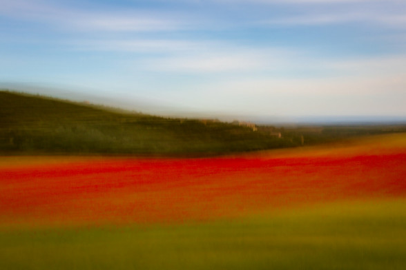 A photograph showing a blurred landscape using intentional camera movement. A red line stands out against a green one, due to the blurring of the poppies in the field.