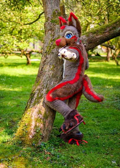 The final result fursuit photography. Spicey, the German shepherd fursuiter, is leaning against a tree and pointing towards the camera while standing in a green forest like field.