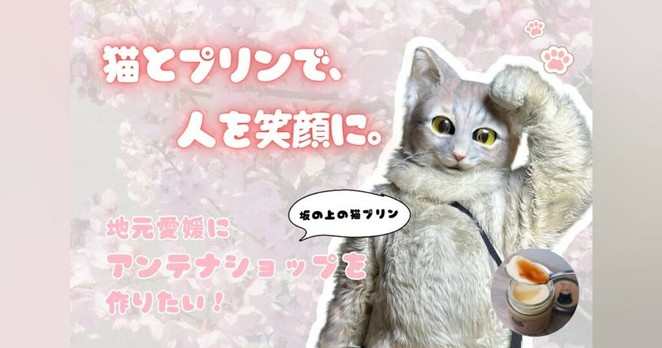 がんと共に歩む店主とアルバイト猫が挑む！念願のアンテナショップを松山に - CAMPFIRE (キャンプファイヤー)