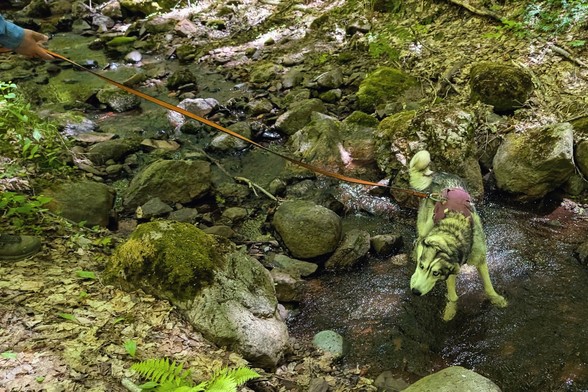 Tonttu stands in a small pool in a rocky stream in a valley, shaking off water he'd just been lying in. A hand on the upper left corner of the image holds his leash, which cuts an orange swash across the image.