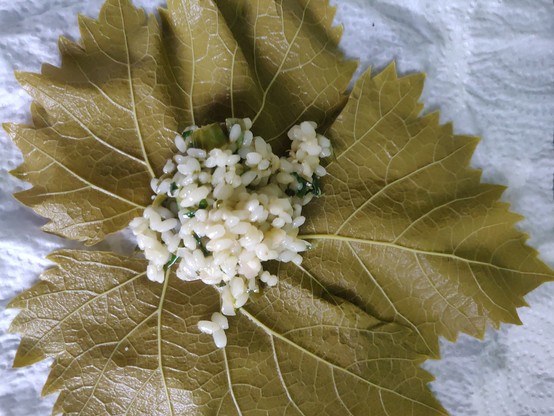 Feuille de vigne avec farce au riz.