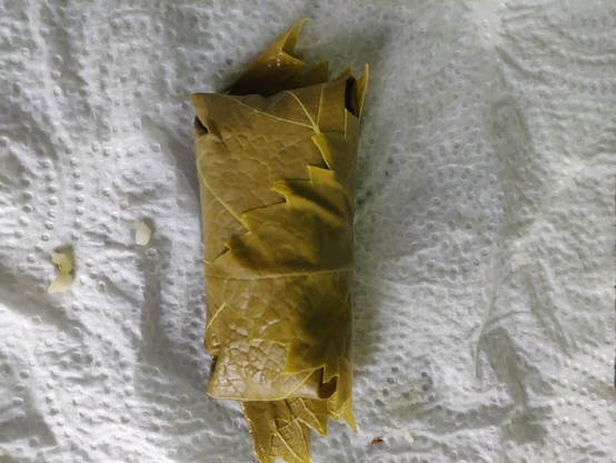 Feuille de vigne roulée.
Ça s'appelle dolmas maintenant.