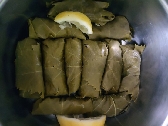 Dolmas avant cuisson avec du citron dans une casserole.