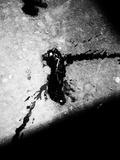 Photographie d'une pareidolie, il s'agit d'une tache sur le bitume, on dirait un ver de terre, en l'occurrence Bert de la série des Maud et Pierre.