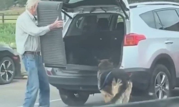 Las tiernas imágenes donde un señor mayor crea una rampa para que su perro anciano pueda subir al coche (.)