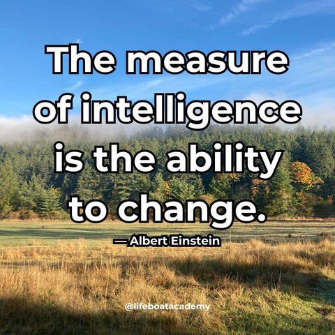 A social post from @lifeboatacademy which says: "The measure of intelligence is the ability to change." -- Albert Einstein