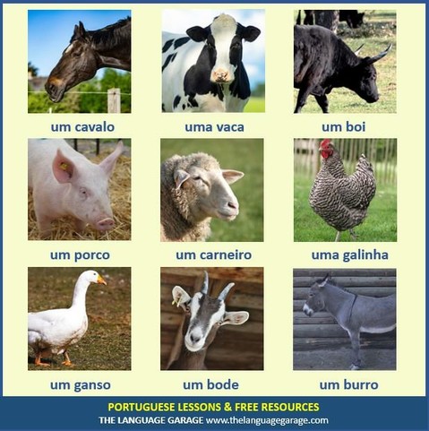 Portuguese vocabulary for farm animals, images of animals commonly found on a farm