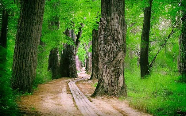 📜 «Pertenezco al oeste», cuatro poemas por Millán Cruz Hernández
✍️ Soy lluvia caída de la nube / que sumisa besa el suelo, asciende / y vuelve hecha tormenta...