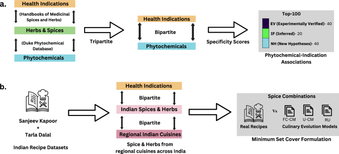 From phytochemicals to recipes: health indications and culinary uses of herbs and spices