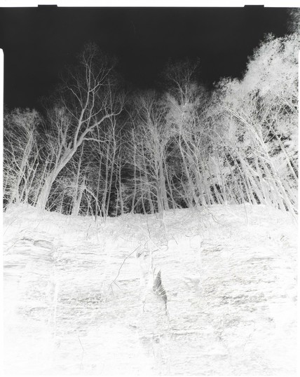 The negative I decided to try to print.