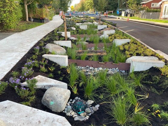 Rainway - plants and physical barriers to slow water down the street