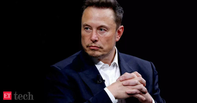 Without Elon Musk, DOGE likely to fizzle out, says ex-staffer