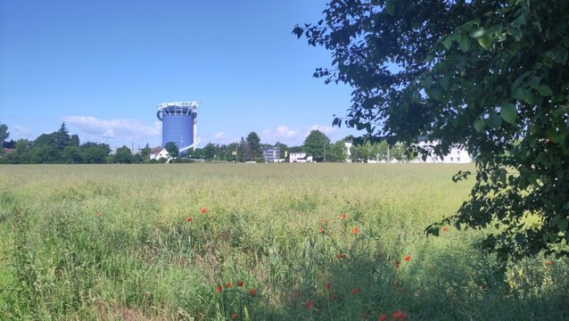 Photo of the Heidelberg thermal energy storage tower, with a meadow with poppies in the foreground