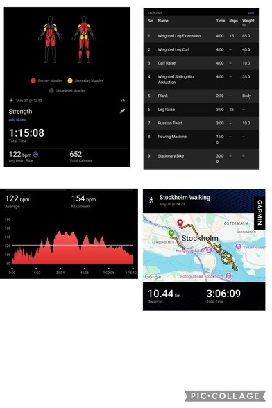 workout data