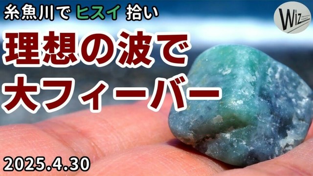 【翡翠拾い】過去イチの良波で大フィーバー！ ｜ 糸魚川でヒスイ拾い　#ヒスイ　#翡翠