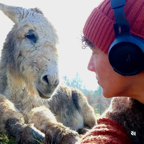 La photo date du 17 février 2025. C'est une capture d'écran. Je suis allongée à côté de Gourmand, mon casque sur la tête. J'ai l'air un peu en colère. Gourmand lui est très tranquille et me regarde en souriant.