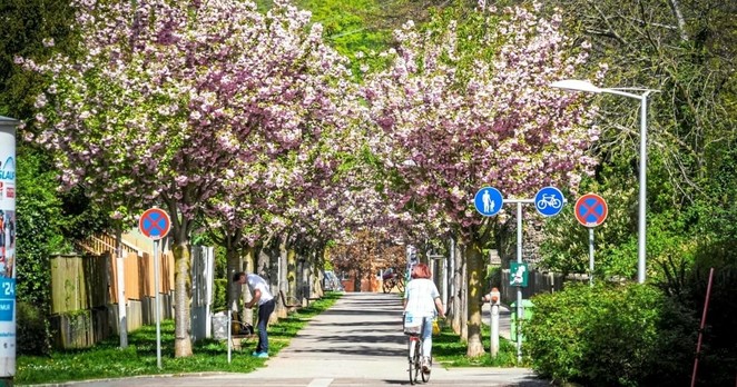 Frühsommerliche Hitze - Hier wurde bereits die 33-Grad-Marke geknackt