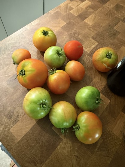 Fresh-picked tomatoes on a counter. Some ripe, some green, most in transition.