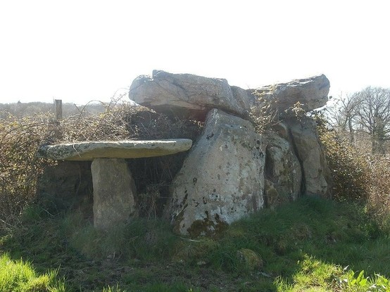 Dolmen dit La Pierre Cuberte (également sur commune de Dun-le-Palestel) à #Naillat (#Creuse) Le dolmen (cad. A 1530) : classement par arrêté du 3 avril 1980.
Suite 👉 https://monumentum.fr/monument-historique/pa00100119/naillat-dolmen-dit-la-pierre-cuberte-egalement-sur-commune-de-dun-le-palestel
#Patrimoine #MonumentHistorique
Photo CC-BY-SA 4.0 : Aubussonais