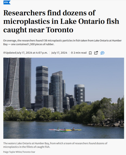 A view of Lake Ontario at Humber Bay showing the Toronto skyline with several tall residential and office towers rising above the treeline. In the foreground, calm blue water reflects the buildings, while a bright yellow kayak with paddlers can be seen on the lake. The shoreline is lined with mature trees and rocky areas. The image illustrates the urban waterfront setting where researchers discovered microplastics in fish caught from these waters.