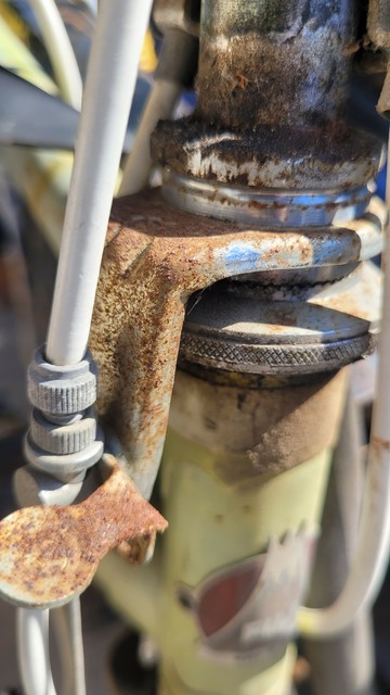 Grimy grungy rusty stem