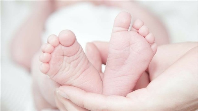 韓国は3月に9か月連続で出産の増加を見ています
