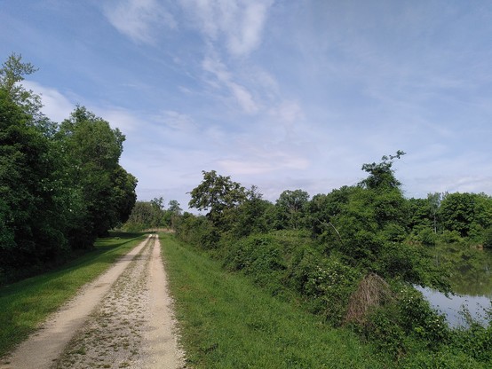 Feldweg zwischen Fluss und Wald auf einem Damm. Blauer Himmel mit Schleierwolken.