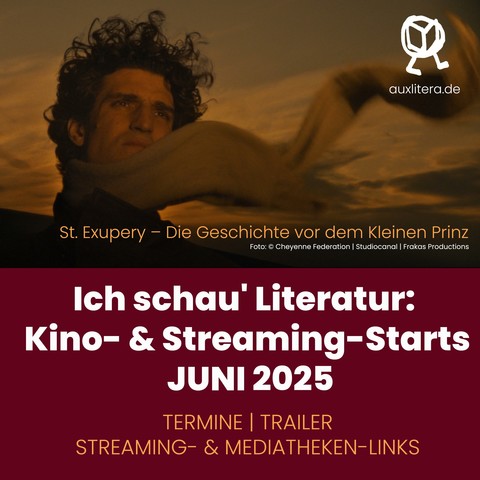 Der Schauspieler Louis Garrel als Antoine de Saint-Exupéry - er steht im Wind im Abendrot, sein Schal flackert dramatisch durch die ganze andere Bildhälfte.