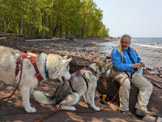 Zeena has now realized that food is being eaten and approaches Jeff and Tonttu from behind, eager for her share.