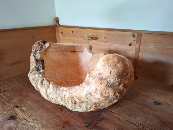 A large, organically shaped wooden sculpture or natural woodform rests on a larch wood table in the corner of a room. The room features warm-toned, knotty arolla pine paneling and built-in bench seating. The object appears to be carved from a single, solid piece of wood, with flowing curves and hollowed areas that resemble an abstract bowl or natural seat. The surface showcases a mix of smooth, pale sections and rough, textured bark-like areas, emphasizing its raw and sculptural qualities. A white curtain hangs above the paneling, and soft natural light enhances the calm, rustic atmosphere. In the corner on the end moulding of the pine panelling is a small hand-carved figure with a mushroom head.