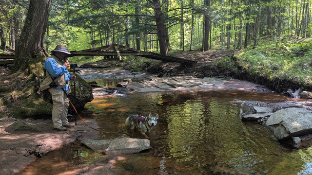 Jeff and Tonttu pause for a water break in Pinkerton Creek, just downstream from the footbridge highlighted in a previous post in this thread.Tonttu looks up at the camera with bright eyes and a big doggy grin on his face.