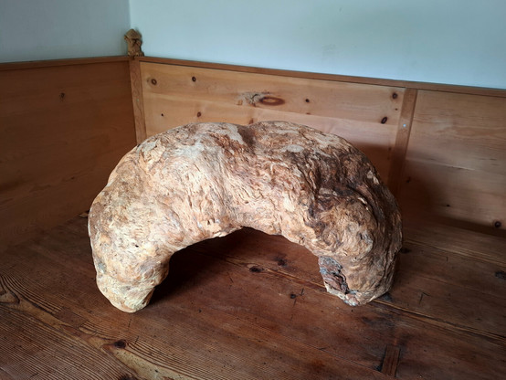 The image showcases a large, natural wooden burl with a distinct arched shape, placed on a rustic wooden table in a cozy corner of a traditionally paneled wooden room. The burl has an irregular, organic surface with swirling grain patterns and a mix of colors ranging from light beige and tan to rich, darker browns. It appears to be a dense, heavy piece of wood possibly a root formation or a growth caused by stress on a tree that has been partially cleaned to reveal its intricate texture. The form arches smoothly with two solid ends resting on the tabletop, resembling a bridge or a creature frozen mid-motion. The warm wooden tones of the background enhance the natural aesthetic of the burl, creating a harmonious and earthy atmosphere. A small carved figure in the corner adds a whimsical touch to the otherwise minimal rustic decor.