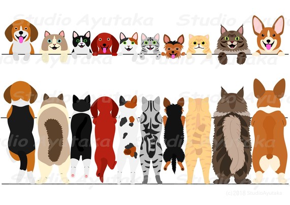 a set of 2 banner of cats and dogs in a row clipart.