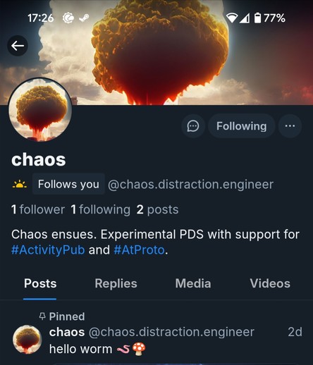 Test user's profile page shown in the official Bluesky client app