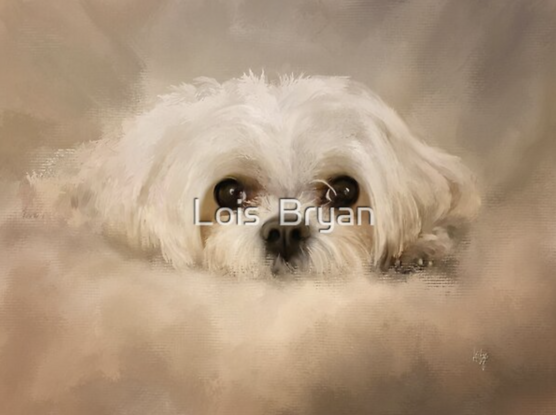 Many thanks to my 5/7 #RedBubble client from the United Kingdom for their purchase of a greeting card of "Always Here For You."  Enjoy!!

https://www.redbubble.com/shop/ap/111950026

#art #giftideas #greetingcards #maltese #maltesedogs #pets #cute #LoisBryan #digitalhandpainting #NotAi