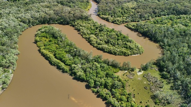 An aerial shot of a river, winding around two bends, surrounded by trees and wetlands