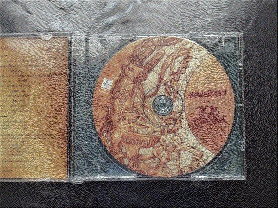CD album "Zov krovi" (Call of the blood) 2006 from the russian folk-rock group "Melnitsa" (Windmill).