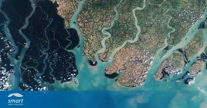 Sentinel-2A satellite image of the Sundarbans in Bangladesh.

Credit: European Space Agency