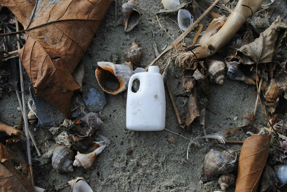 A small white plastic jug with a handle lies on sandy ground, surrounded by scattered natural debris including dried brown leaves, various seashells, pieces of driftwood, and weathered organic matter. The scene appears to be beach litter mixed with natural coastal materials, creating a contrast between the discarded plastic container and the organic elements that have washed ashore. Photo by ORZAN CONSTANTIN: https://www.pexels.com/photo/seashells-and-trash-on-a-sandy-shore-3749974/