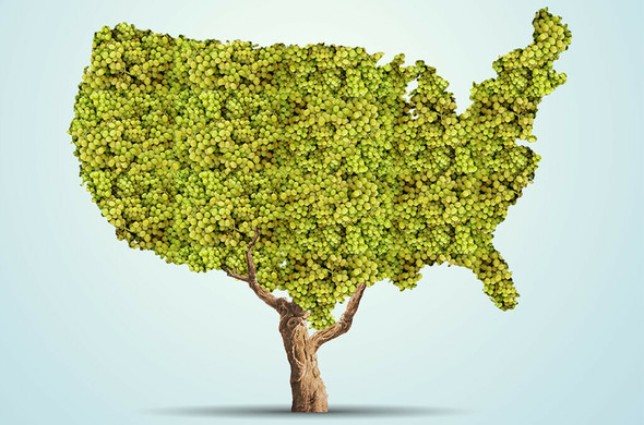 Cru Americana: 10 of America’s finest vineyards