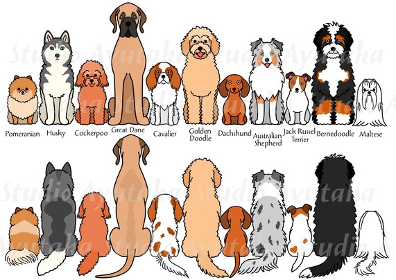 a set of cliparts of cute cartoon dogs sitting in a row, from front and from behind.