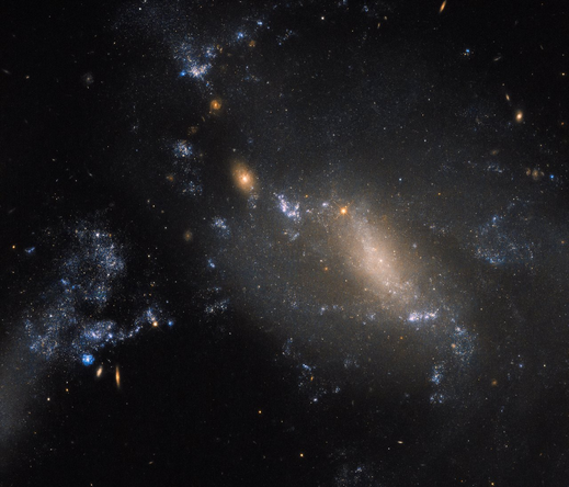 A Hubble Space Telescope image of the galaxy NGC 3447, an irregular galaxy appearing as a golden, diffuse central structure surrounded by clusters of blue and white stars. The galaxy seems stretched and asymmetrical, with faint spiral arms and scattered star-forming regions. The background is filled with numerous distant galaxies and faint stars.