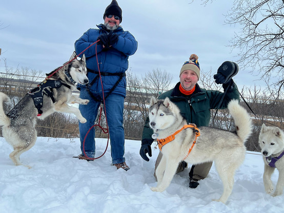 An attempt at a family photo with humans Jeff and Dale holding huskies Tonttu, Zeena and Gypsy in a snowy scene. Tonttu is leaping, face squinting against the lead that he's fighting, held by Jeff with grim determination. Dale holds flexi leads for Zeena, who is standing calmly and gazing off to the left, and Gypsy, far right, a very elderly husky, just happy to be along on another adventure.