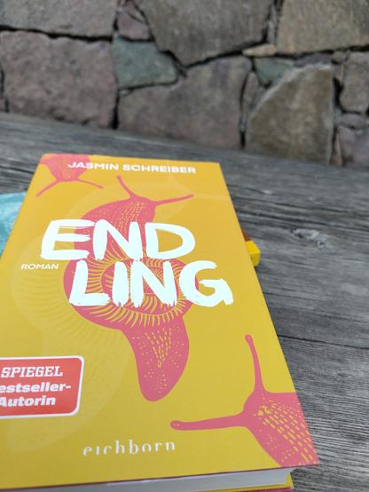 Das Buch Endling von Jasmin Schreiber liegt auf einem Holztisch