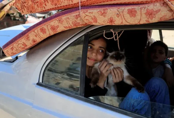 A sweet girl holds a cat in a car as Palestinians flee their homes after the Israeli army issued displacement orders in Khan Younis, June 3 
Her younger brother is also in the car.