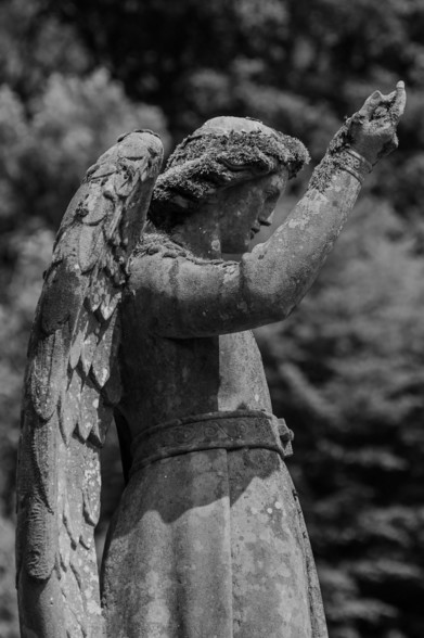 A weathered stone angel statue stands with one arm raised, partially draped in moss, against a blurred natural background. The statue's wings are detailed, and it conveys a serene, protective presence.
