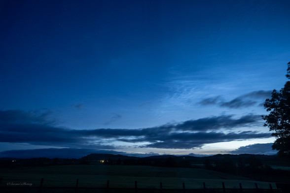 An early morning sky image with a low dark horizon and scattered house lights, the sky above is deep blue with pale streaks of noctilucent clouds highlighted. A bit of a tree is silhouetted on the far right